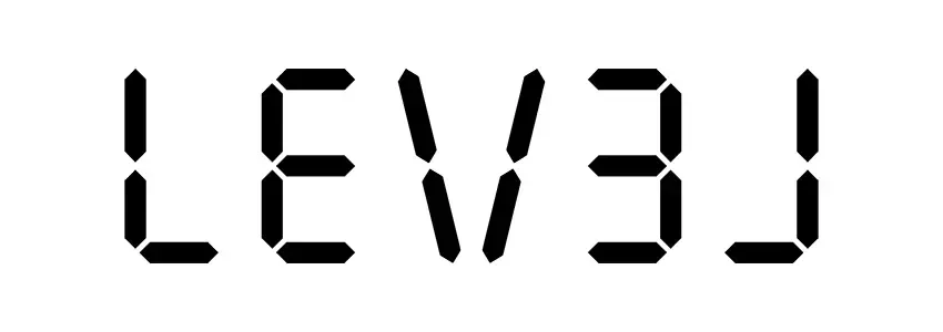 LEV3L IT UG